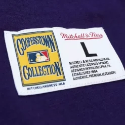 Apparel Mitchell & Ness T-Shirts & Tops-Legendary Slub Henley Tampa Bay Rays