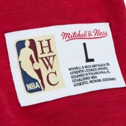 Apparel Mitchell & Ness T-Shirts & Tops-Legendary Slub Longsleeve Portland Trail Blazers