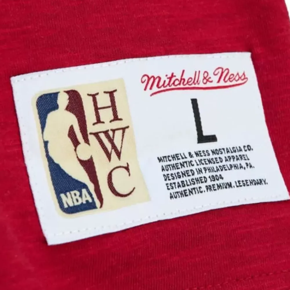 Apparel Mitchell & Ness T-Shirts & Tops-Legendary Slub Longsleeve Portland Trail Blazers