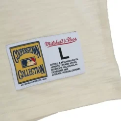 Apparel Mitchell & Ness T-Shirts & Tops-Legendary Slub Longsleeve Chicago Cubs