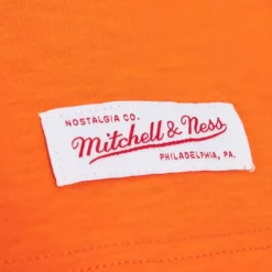 Apparel Mitchell & Ness T-Shirts & Tops-Legendary Slub Ls Tee Clemson University