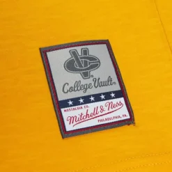 Apparel Mitchell & Ness T-Shirts & Tops-Legendary Slub Ls Tee Florida State University