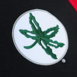 Apparel Mitchell & Ness T-Shirts & Tops-Legendary Slub Ls Tee Ohio State