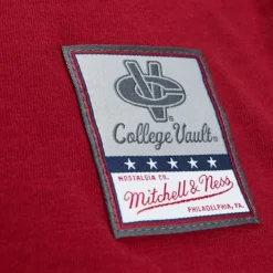Apparel Mitchell & Ness T-Shirts & Tops-Legendary Slub Ls Tee University Of South Carolina