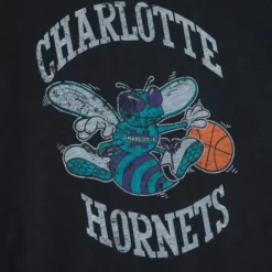 Apparel Mitchell & Ness T-Shirts & Tops-Legendary Slub S/S Tee Charlotte Hornets