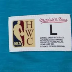 Apparel Mitchell & Ness T-Shirts & Tops-Legendary Slub S/S Tee Charlotte Hornets