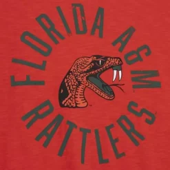 Apparel Mitchell & Ness T-Shirts & Tops-Legendary Slub S/S Tee Florida A&M University