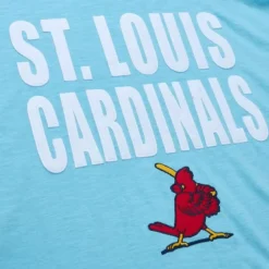 Apparel Mitchell & Ness T-Shirts & Tops-Legendary Slub Ss Tee St. Louis Cardinals