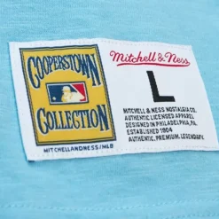 Apparel Mitchell & Ness T-Shirts & Tops-Legendary Slub Ss Tee St. Louis Cardinals