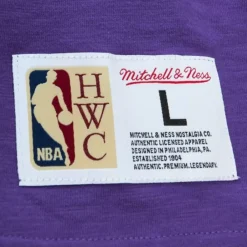 Apparel Mitchell & Ness T-Shirts & Tops-Legendary Slub S/S Tee Toronto Raptors