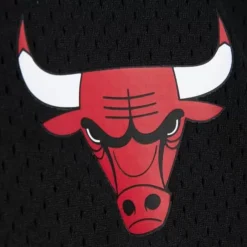 Apparel Mitchell & Ness T-Shirts & Tops-Mesh 1/4 Zip Chicago Bulls