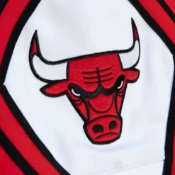Apparel Mitchell & Ness Pants-M&N X Just Don Pants Chicago Bulls