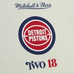 Apparel Mitchell & Ness Hoodies & Sweatshirts-My Towns Two|18 Graphic Hoody Detroit Pistons