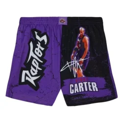 Apparel Mitchell & Ness Shorts-Player Burst Mesh Shorts Toronto Raptors Vince Carter