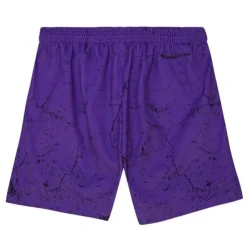 Apparel Mitchell & Ness Shorts-Player Burst Mesh Shorts Toronto Raptors Vince Carter