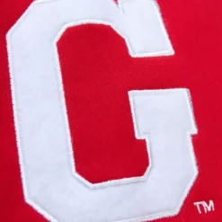 Apparel Mitchell & Ness Hoodies & Sweatshirts-Pre-Game Ss Fleece Hoodie University Of Georgia