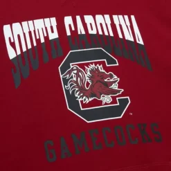 Apparel Mitchell & Ness Hoodies & Sweatshirts-Pre-Game Ss Fleece Hoodie University Of South Carolina