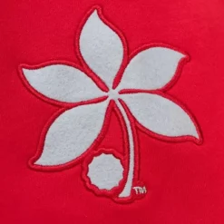 Apparel Mitchell & Ness Hoodies & Sweatshirts-Pre-Game Ss Fleece Hoodie Ohio State