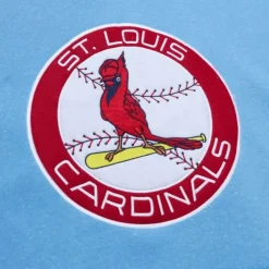 Apparel Mitchell & Ness Hoodies & Sweatshirts-Snow Washed Fleece Hoodie St. Louis Cardinals