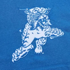 Apparel Mitchell & Ness Hoodies & Sweatshirts-Snow Washed Fleece Hoodie University Of Kentucky