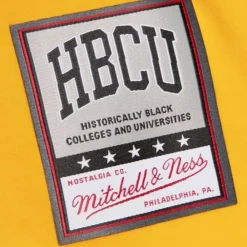 Apparel Mitchell & Ness T-Shirts & Tops-Su Oversized Mascot Tee Southern University And A&M College