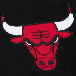Apparel Mitchell & Ness Hoodies & Sweatshirts-Team First Satin Fleece Crew Chicago Bulls