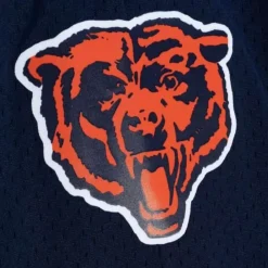 Apparel Mitchell & Ness Shorts-Team Id Mesh Shorts Chicago Bears