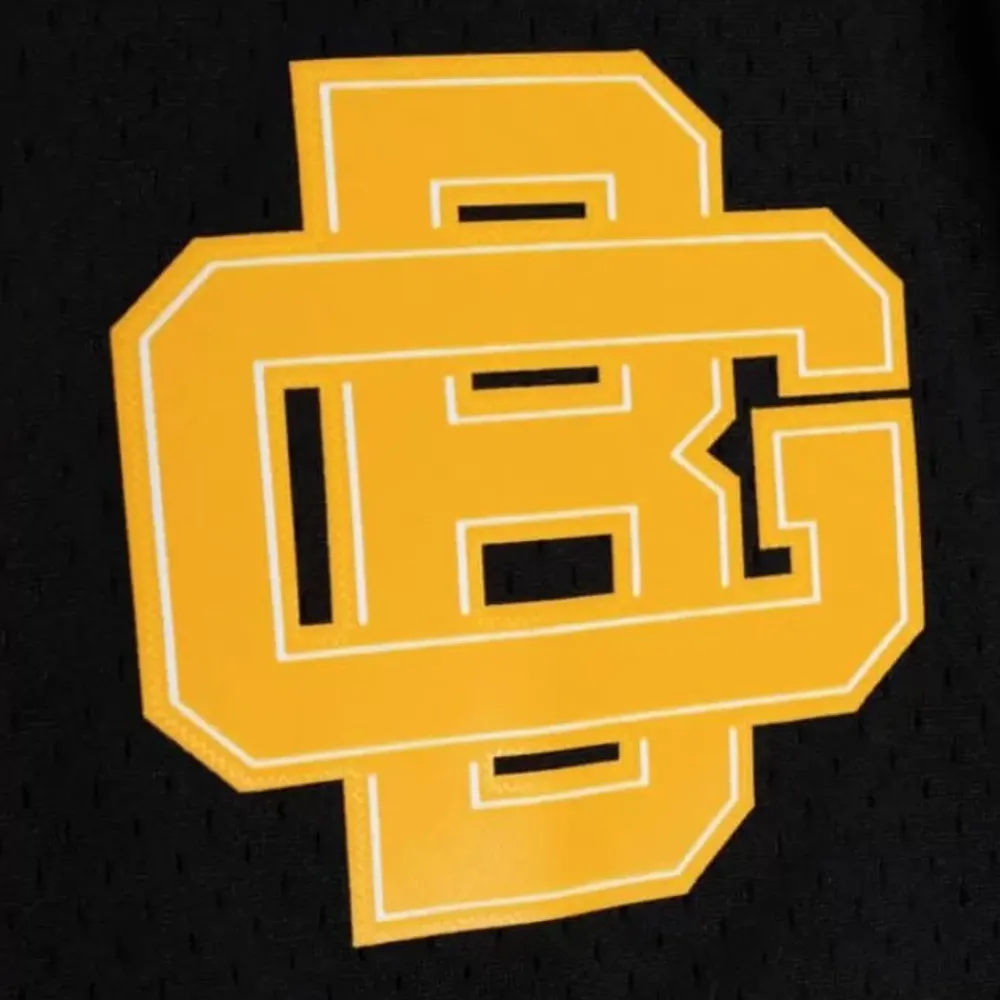 Apparel Mitchell & Ness Shorts-Team Id Mesh Shorts Green Bay Packers