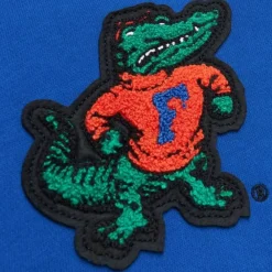 Apparel Mitchell & Ness Hoodies & Sweatshirts-Team Legacy French Terry Hoodie University Of Florida