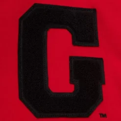 Apparel Mitchell & Ness Hoodies & Sweatshirts-Team Legacy French Terry Hoodie University Of Georgia