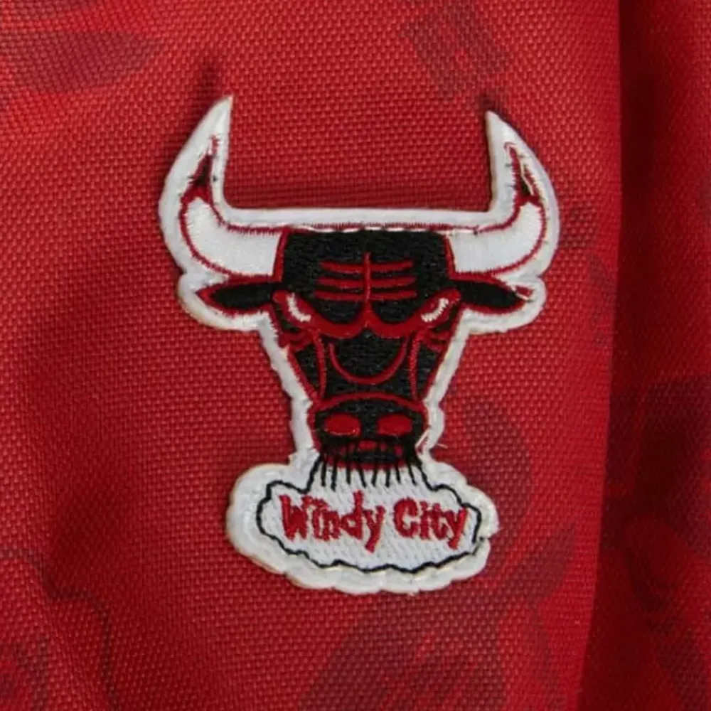 Apparel Mitchell & Ness Accessories-Team Logo Backpack Chicago Bulls