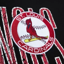 Apparel Mitchell & Ness Hoodies & Sweatshirts-Team Og Fleece 2.0 St. Louis Cardinals