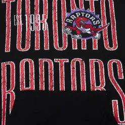 Apparel Mitchell & Ness Hoodies & Sweatshirts-Team Og Fleece 2.0 Toronto Raptors