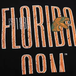 Apparel Mitchell & Ness Hoodies & Sweatshirts-Team Og Fleece Hoodie Florida A&M University