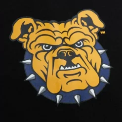 Apparel Mitchell & Ness Hoodies & Sweatshirts-Team Og Fleece Hoodie North Carolina A&T University