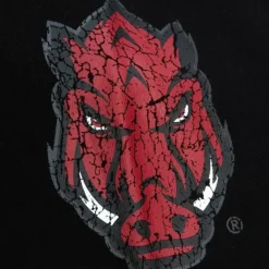 Apparel Mitchell & Ness Hoodies & Sweatshirts-Team Og Fleece Hoodie University Of Arkansas