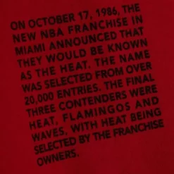 Apparel Mitchell & Ness Hoodies & Sweatshirts-Team Origins Fleece Hoody Miami Heat