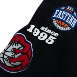 Apparel Mitchell & Ness Shorts-Team Origins Fleece Short Toronto Raptors