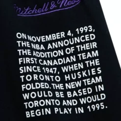 Apparel Mitchell & Ness Shorts-Team Origins Fleece Short Toronto Raptors
