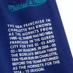 Apparel Mitchell & Ness Shorts-Team Origins Fleece Short Charlotte Hornets