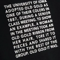 Apparel Mitchell & Ness Hoodies & Sweatshirts-Team Origins Hoodie University Of Iowa