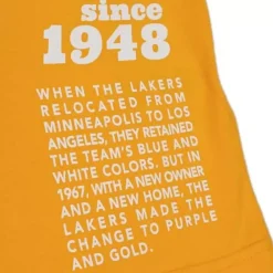 Apparel Mitchell & Ness T-Shirts & Tops-Team Origins S/S Top Los Angeles Lakers