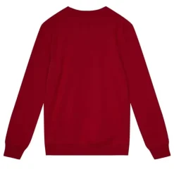 Apparel Mitchell & Ness Hoodies & Sweatshirts-Team Wordmark 1 Crew Tampa Bay Buccaneers