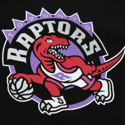 Apparel Mitchell & Ness Hoodies & Sweatshirts-There And Back Fleece Crew Toronto Raptors