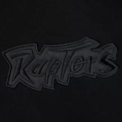 Apparel Mitchell & Ness Hoodies & Sweatshirts-Tonal Logo Heavyweight Fleece Toronto Raptors