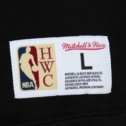 Apparel Mitchell & Ness Hoodies & Sweatshirts-Tonal Logo Heavyweight Fleece Toronto Raptors