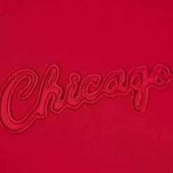 Apparel Mitchell & Ness Hoodies & Sweatshirts-Tonal Logo Heavyweight Fleece Chicago Bulls