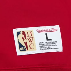 Apparel Mitchell & Ness Hoodies & Sweatshirts-Tonal Logo Heavyweight Fleece Chicago Bulls