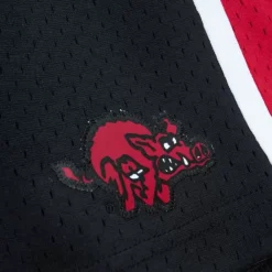 Apparel Mitchell & Ness Shorts-Unisex Jump Shot Shorts University Of Arkansas