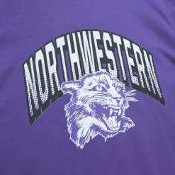 Apparel Mitchell & Ness T-Shirts & Tops-University Arch Logo Ls Tee Northwestern University